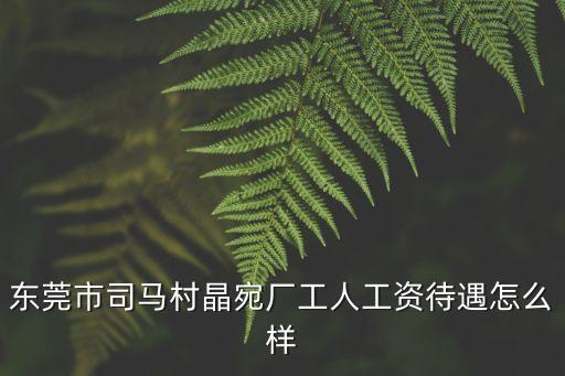 東莞市司馬村晶宛廠工人工資待遇怎么樣