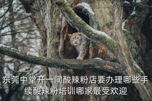 東莞中堂開一間酸辣粉店要辦理哪些手續(xù)酸辣粉培訓(xùn)哪家最受歡迎