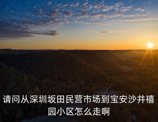 請問從深圳坂田民營市場到寶安沙井禧園小區怎么走啊
