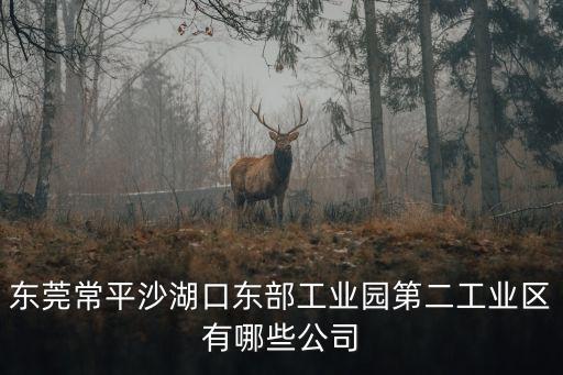 東莞天之韻新材料公司，東莞常平沙湖口東部工業園第二工業區有哪些公司