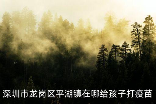 深圳市龍崗區(qū)平湖鎮(zhèn)在哪給孩子打疫苗