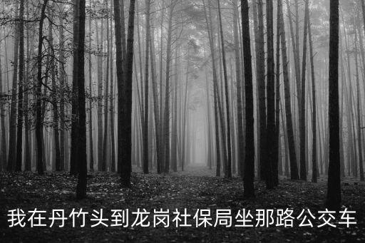 我在丹竹頭到龍崗社保局坐那路公交車