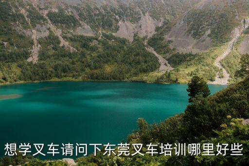 想學叉車請問下東莞叉車培訓哪里好些