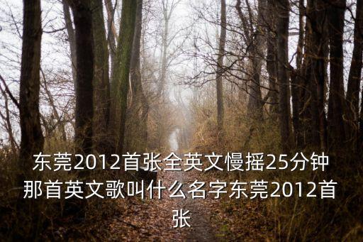 東莞國貿城唱英文歌，東莞新東泰V888包房中英文現場DJ小軒MIX的DJ串燒里的英文
