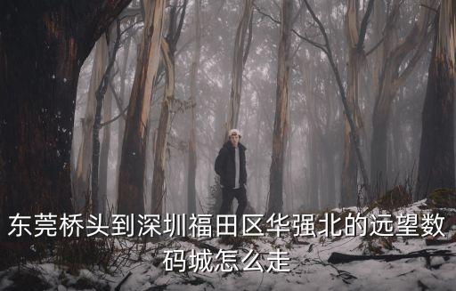 深圳福田華強路遠望數碼城，福田區華強北遠望數碼城