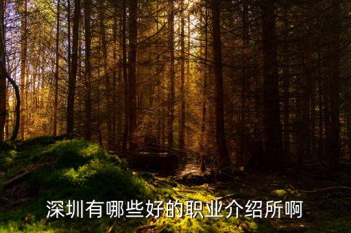 深圳有哪些好的職業介紹所啊