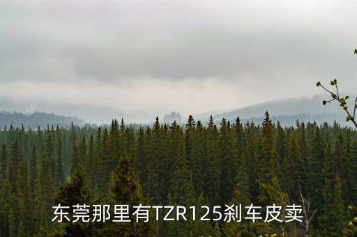 東莞那里有TZR125剎車皮賣