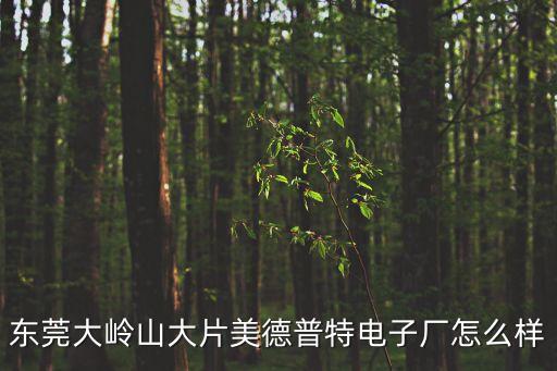 東莞大嶺山大片美德普特電子廠怎么樣