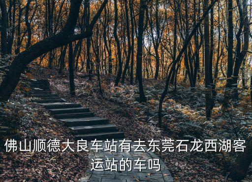 佛山順德大良車站有去東莞石龍西湖客運站的車嗎