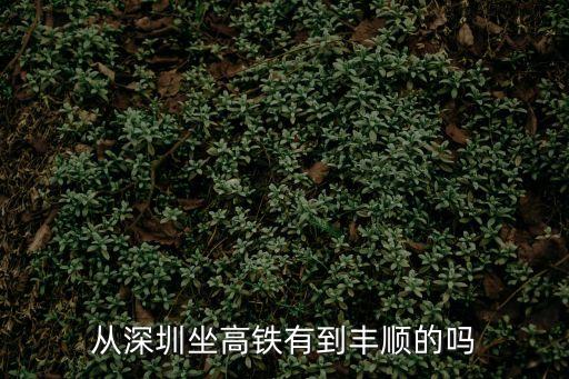 從深圳坐高鐵有到豐順的嗎