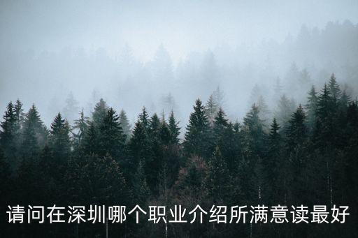 請問在深圳哪個職業介紹所滿意讀最好