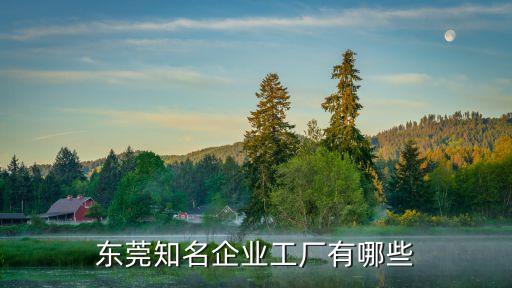 東莞金星工業區有哪些廠，東莞哪些工業區電子廠比較多