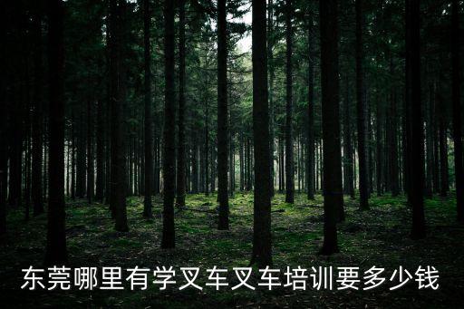 東莞市萬江有學叉車培訓，東莞最好是大嶺山長安叉車培訓和考證那個培訓的好些