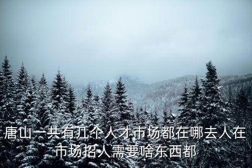 唐山一共有幾個人才市場都在哪去人在市場招人需要啥東西都