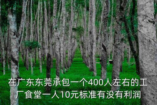 東莞橫瀝學校飯堂承包價格，在廣東東莞承包一個400人左右的工廠食堂一人10元標準有沒有利潤