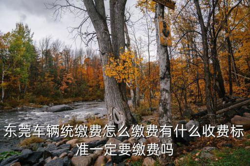 東莞車輛統繳費怎么繳費有什么收費標準一定要繳費嗎