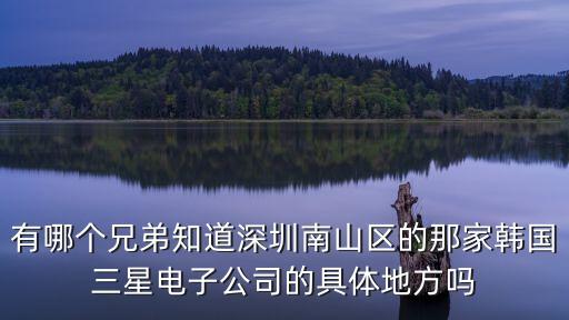 有哪個(gè)兄弟知道深圳南山區(qū)的那家韓國(guó)三星電子公司的具體地方嗎