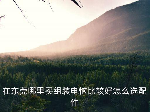 東莞隔音箱怎么選，在東莞哪里買組裝電惱比較好怎么選配件