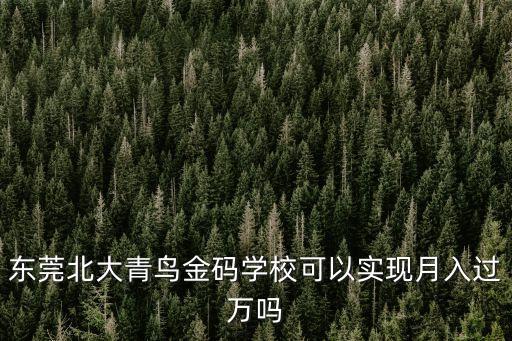 東莞博士人才引進(jìn)入學(xué)，東莞北大青鳥金碼學(xué)校可以實(shí)現(xiàn)月入過萬嗎