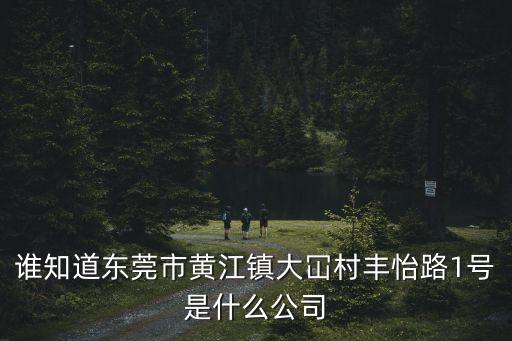 誰知道東莞市黃江鎮(zhèn)大冚村豐怡路1號是什么公司