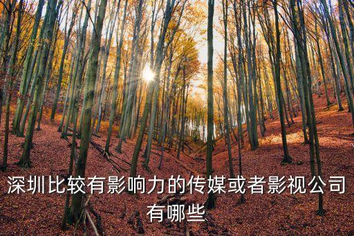 深圳比較有影響力的傳媒或者影視公司有哪些