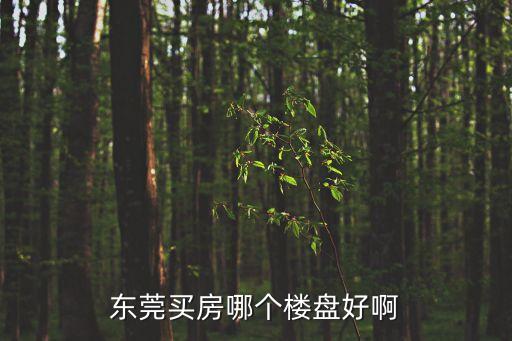 東莞買房哪個樓盤好啊