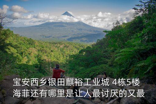 深圳寶安哪里有臭味，深圳東門大味寶在哪里