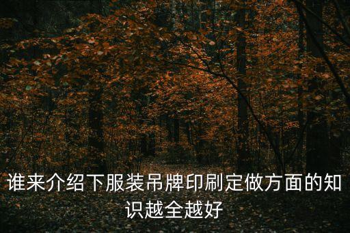 誰來介紹下服裝吊牌印刷定做方面的知識越全越好