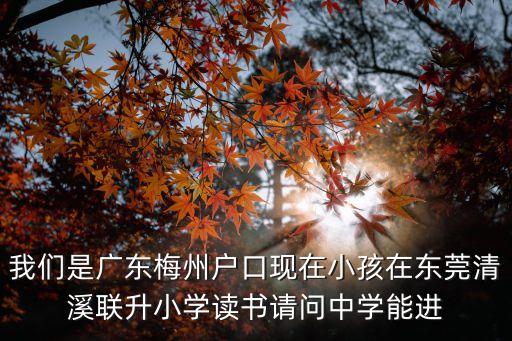 我們是廣東梅州戶口現(xiàn)在小孩在東莞清溪聯(lián)升小學(xué)讀書請問中學(xué)能進(jìn)