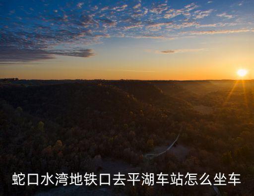 蛇口水灣地鐵口去平湖車站怎么坐車