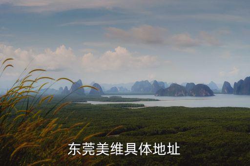 東莞市牛山外經(jīng)工業(yè)園圍興路，東莞美維具體地址