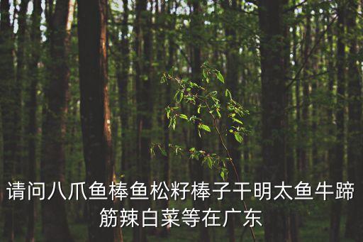 請問八爪魚棒魚松籽棒子干明太魚牛蹄筋辣白菜等在廣東