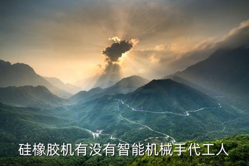 東莞長加智能機械，硅橡膠機有沒有智能機械手代工人