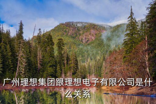 東莞石龍理想電子廠老板李挺，廣州理想集團(tuán)跟理想電子有限公司是什么關(guān)系