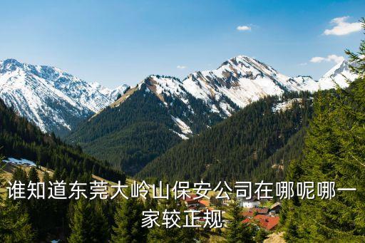 誰知道東莞大嶺山保安公司在哪呢哪一家較正規