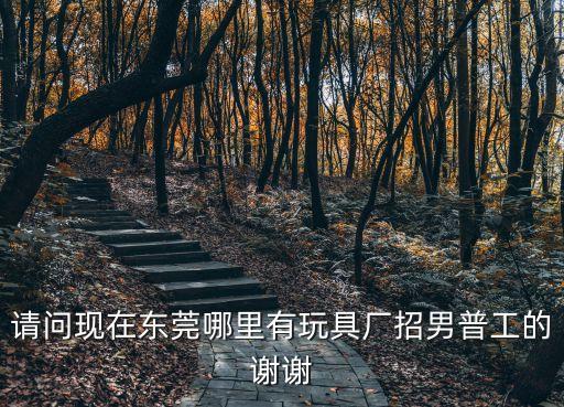 東莞鳳崗官井頭明泰玩具廠，東莞工業(yè)區(qū)哪有玩具工廠