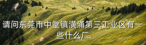 東莞市新展塑膠化工，請問東莞市中堂鎮潢涌第三工業區有一些什么廠