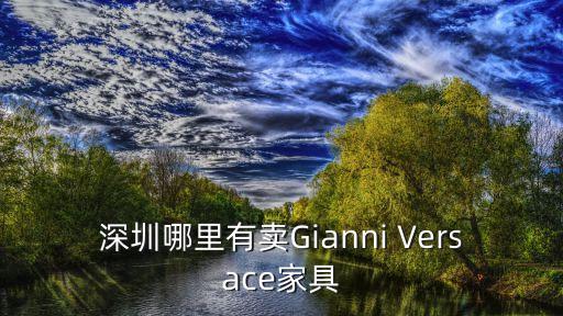 深圳哪里有賣Gianni Versace家具