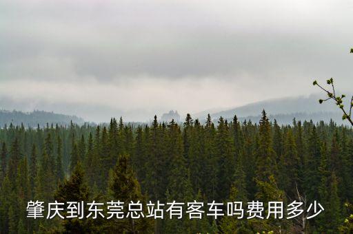 肇慶到東莞東火車站要多少錢，肇慶到東莞多少錢車費