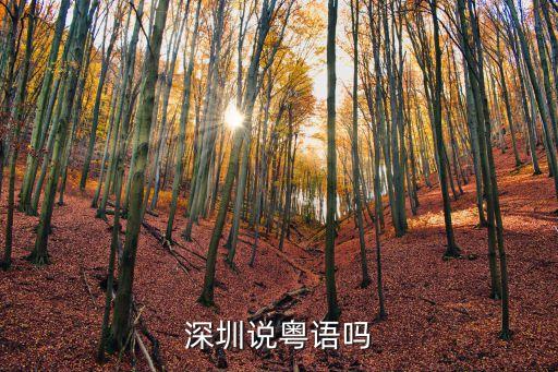深圳說粵語嗎