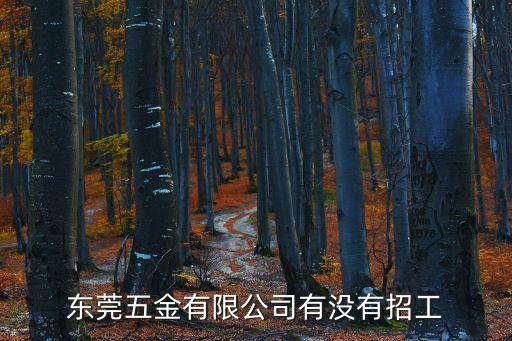 東莞市天恒精密五金有限公司，東莞五金有限公司有沒有招工