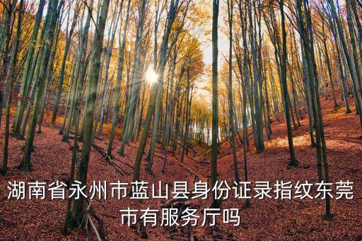 湖南省永州市藍(lán)山縣身份證錄指紋東莞市有服務(wù)廳嗎