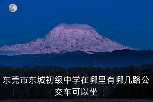 東莞南城莞城東城初中，東莞市東城初級中學在哪里有哪幾路公交車可以坐