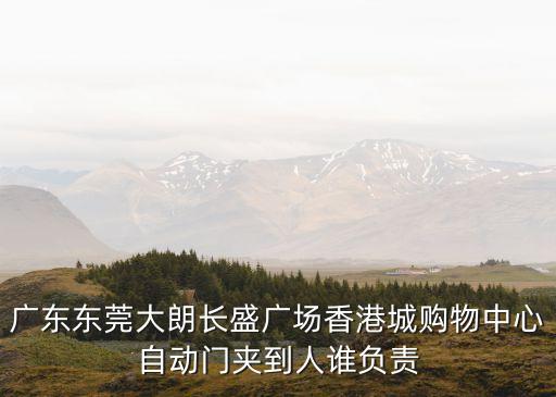廣東東莞大朗長盛廣場(chǎng)香港城購物中心自動(dòng)門夾到人誰負(fù)責(zé)