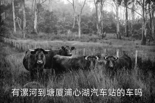 東莞臨潁風力灌漿料，比學校那個好