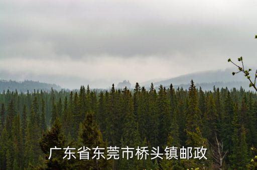 廣東省東莞市橋頭鎮(zhèn)郵政