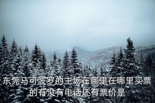 東莞馬可波羅的主場在哪里在哪里買票的有沒有電話還有票價是