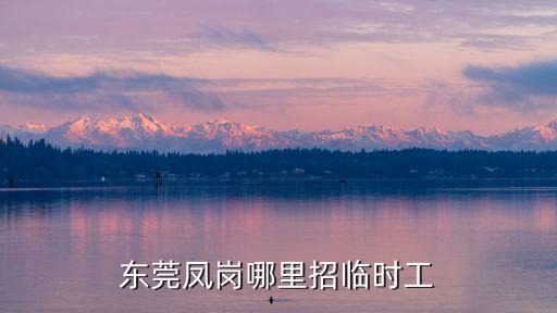 東莞鳳崗哪里還招臨時工，東莞鳳崗哪里招聘車位臨時工