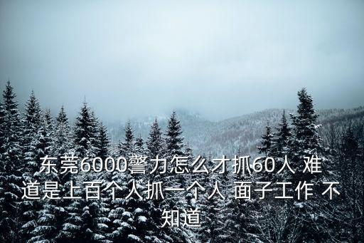 東莞6000警力怎么才抓60人 難道是上百個人抓一個人 面子工作 不知道