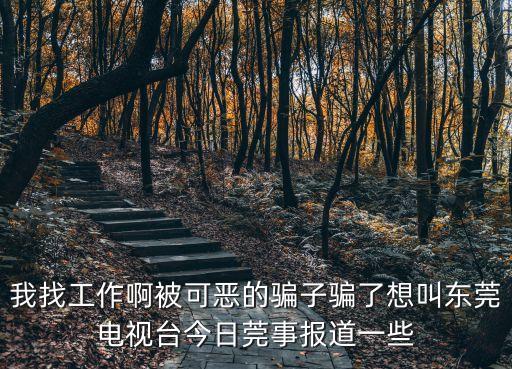 我找工作啊被可惡的騙子騙了想叫東莞電視臺(tái)今日莞事報(bào)道一些